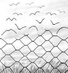 liberating structuresz