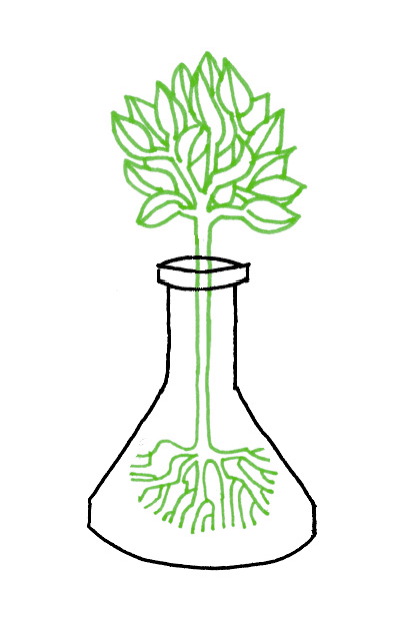 Image by Todd Stewart